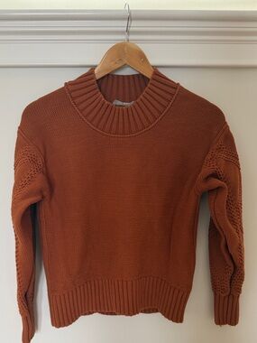Everlane Rust Cowl-Neck Knit Sweater